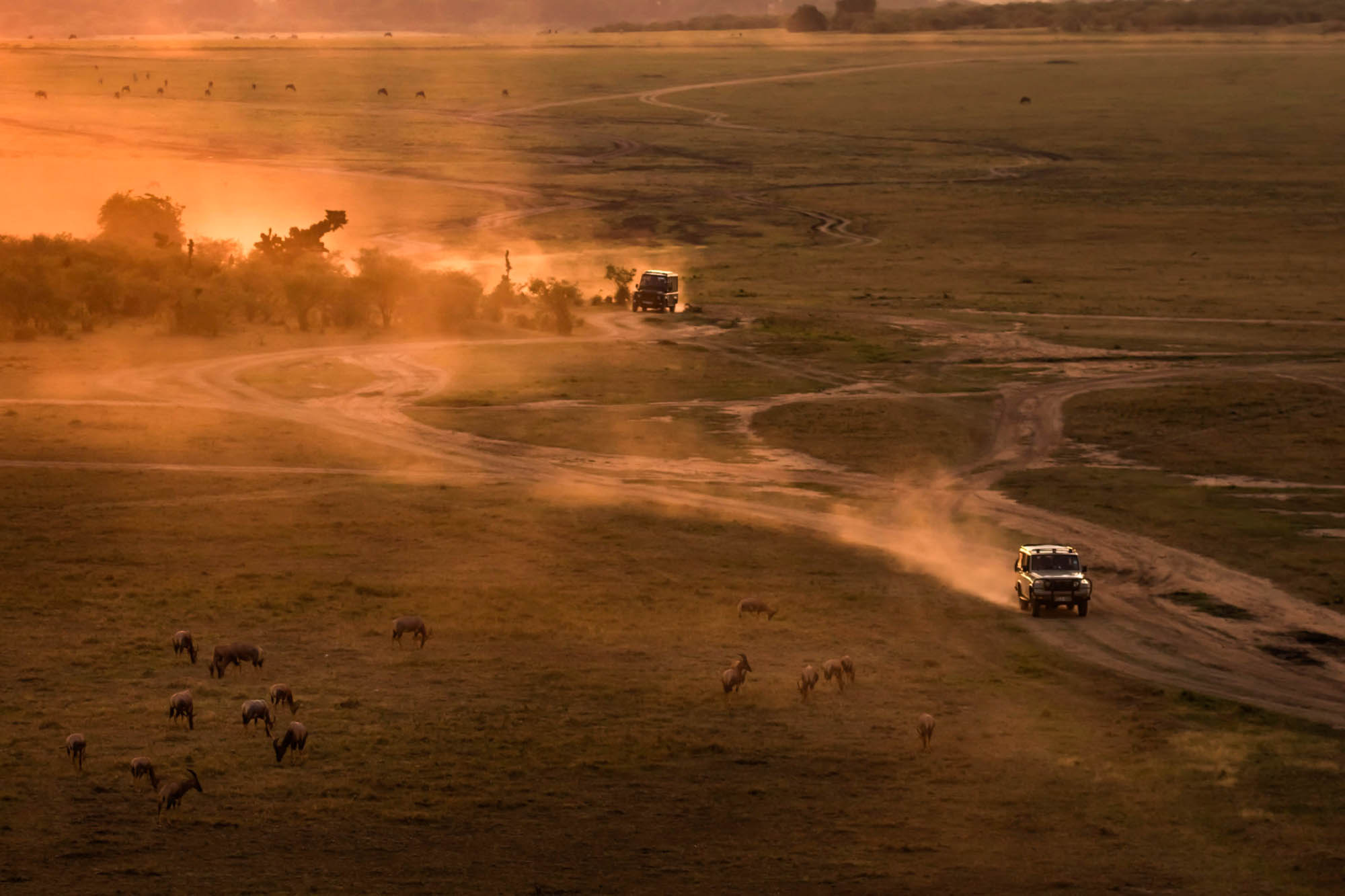 guest_at_safari_drive