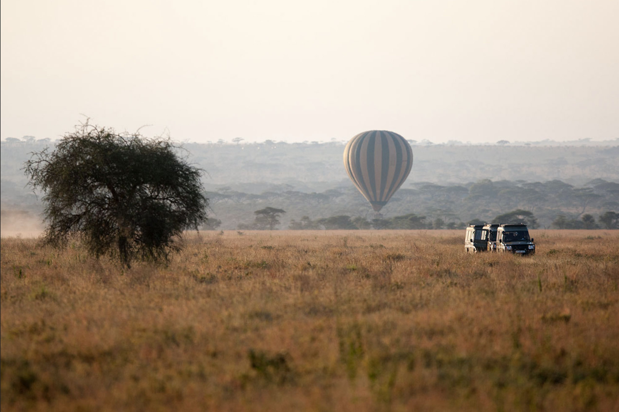 ballon_and_car_safari