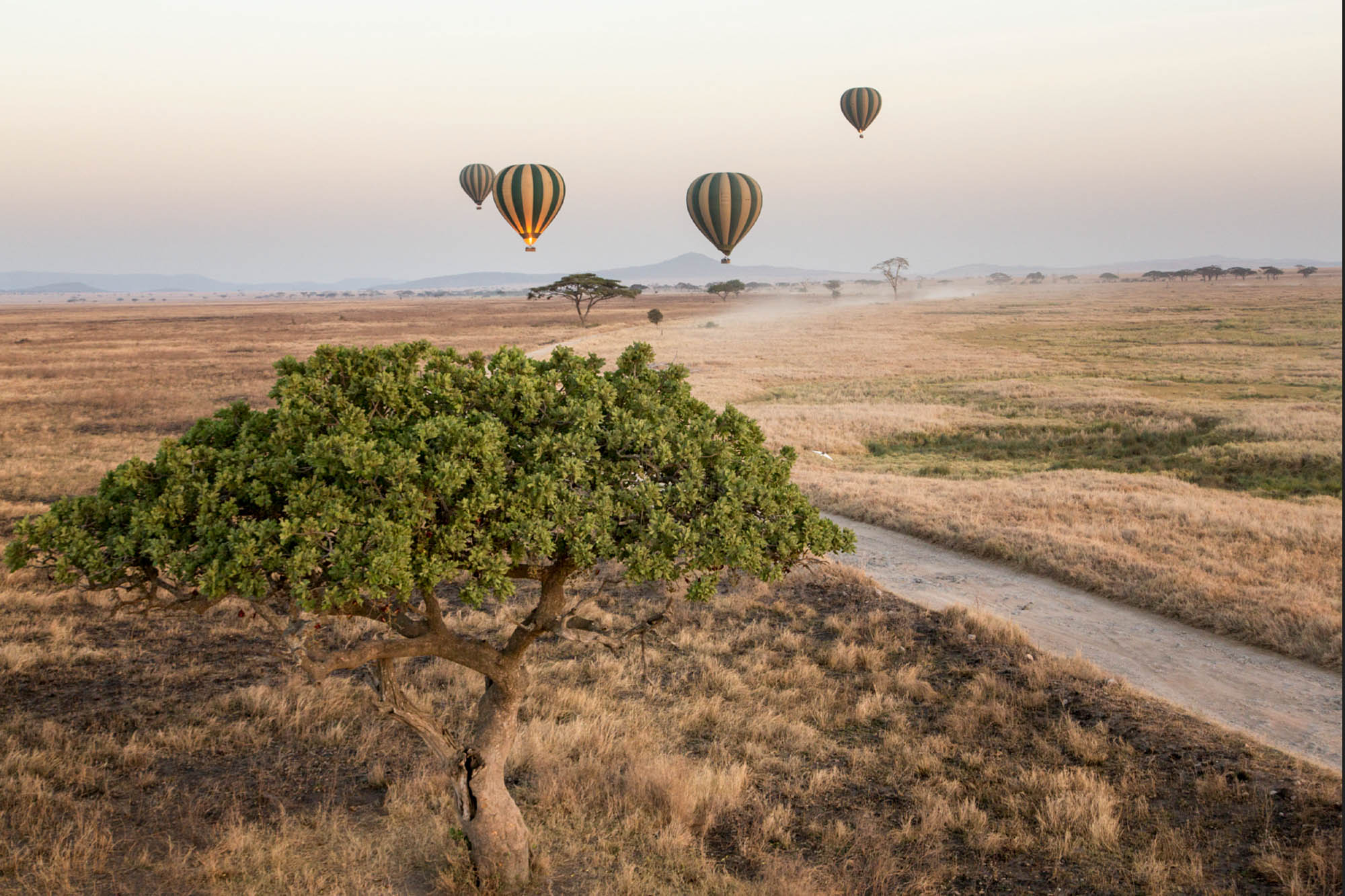 hot_air_ballon_safari